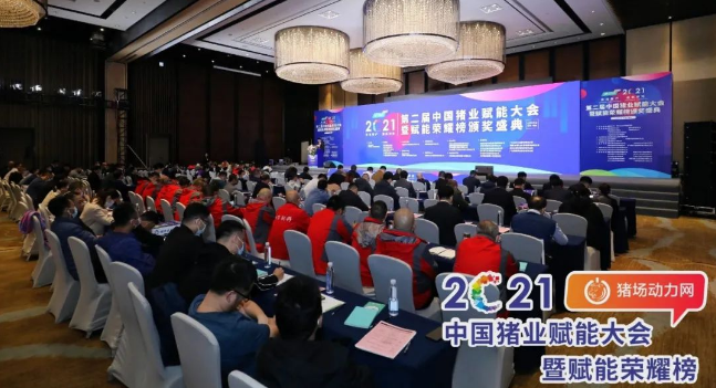 正康生?Plus榮獲“2021年度匠心飼料添加劑”！